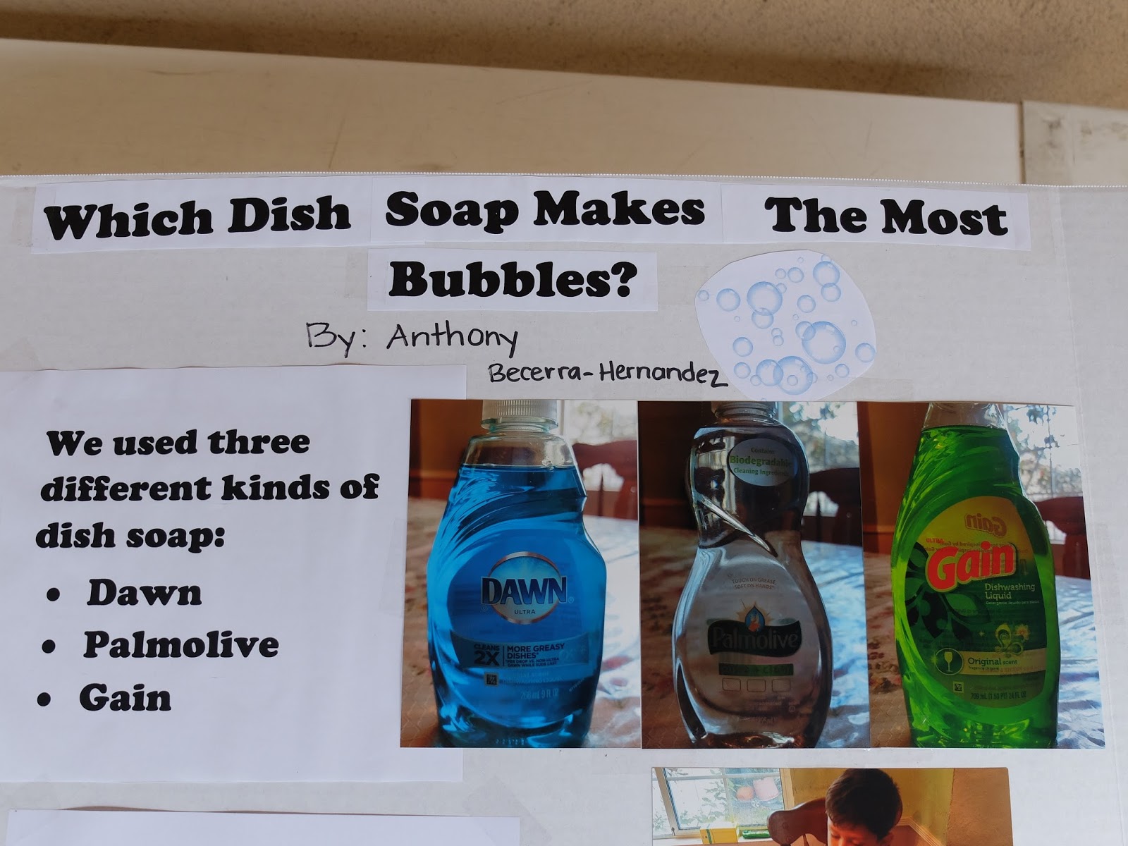 First Grade Adventurers Science Fair Projects