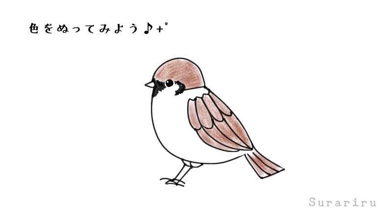 鳥のスズメ 雀 のイラストの簡単な描き方 ボールペンイラストと水彩 遠北ほのかのsurariru