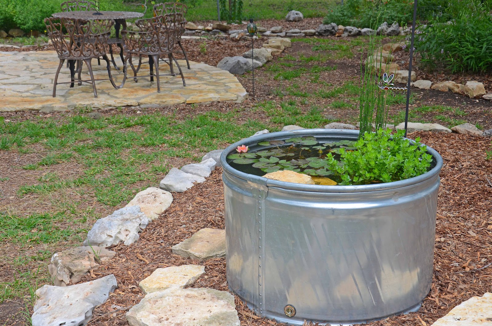 Window on a Texas Wildscape Stock pond update