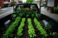 Truck Farm Chicago