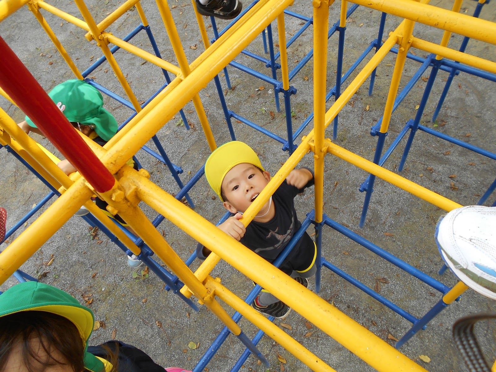 こんにちは 柏中央保育園です 公園 だーいすき たんぽぽ組