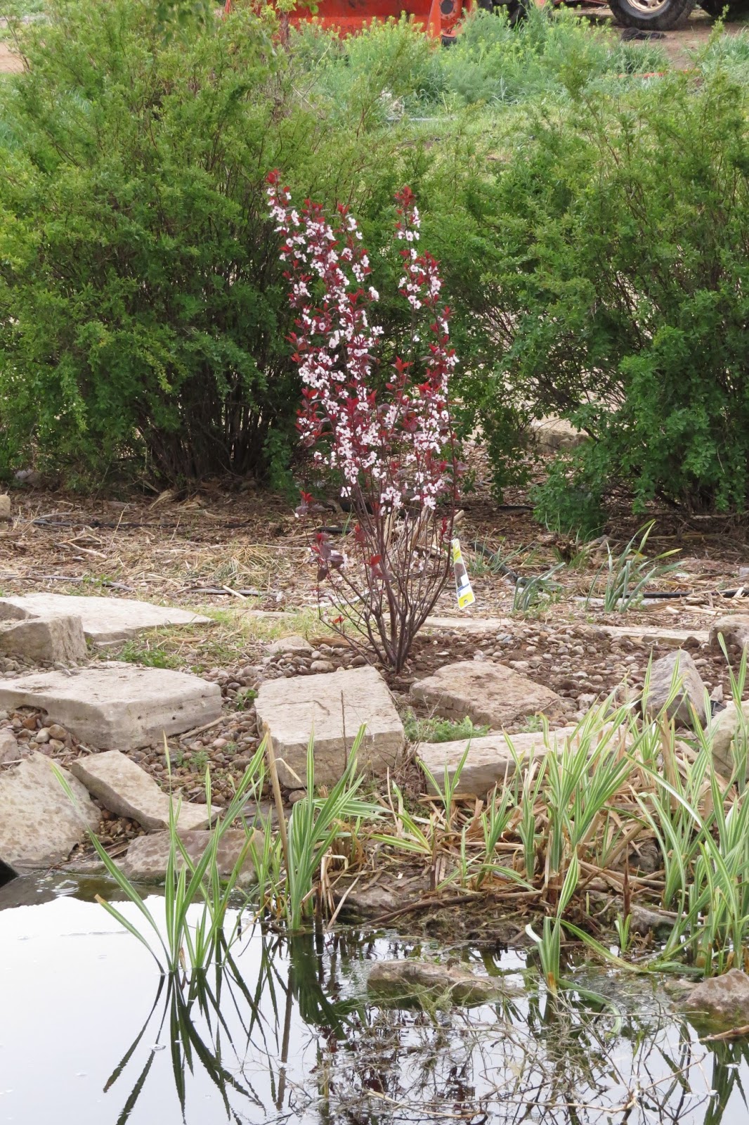 Diy Gold Leaf Painting Livelovediy Bloglovin