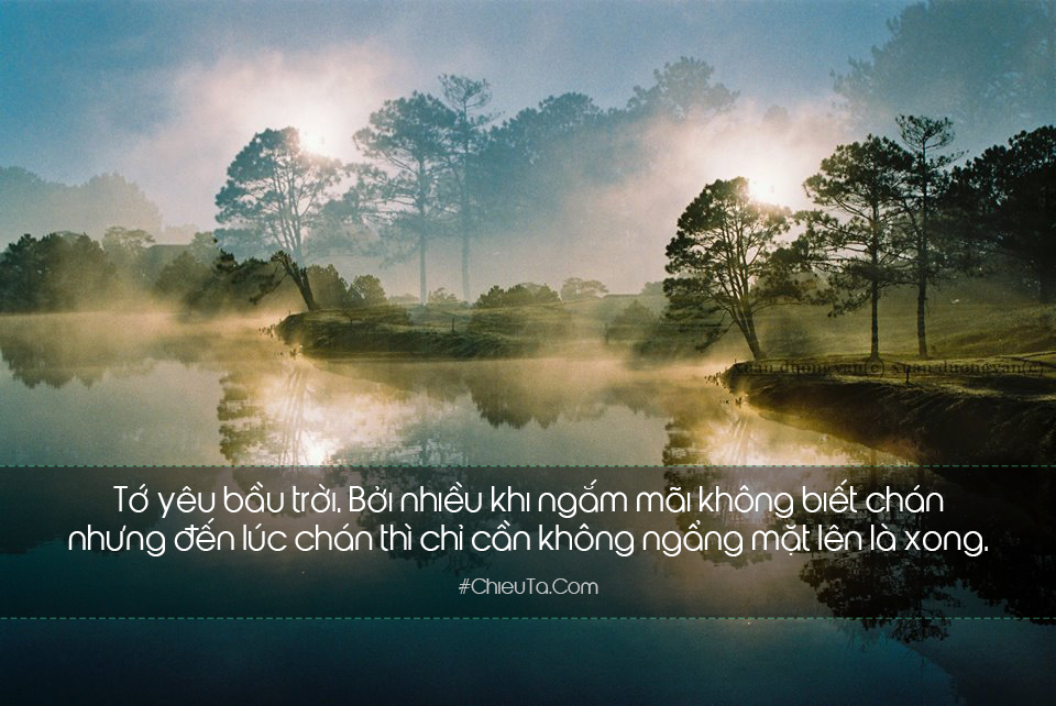 Hoa Hướng Dương Luon Nhin Về Phia Mặt Trời Quote Hay Trong 2020 Helen Keller Cuộc Sống Những Cau Noi Tạo động Lực