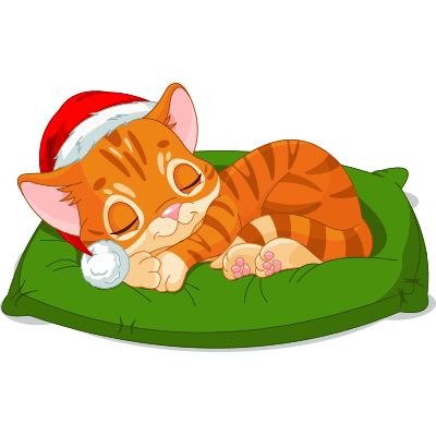 Napping Santa Cat Santa Cat