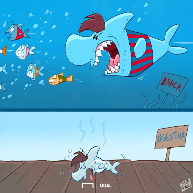 Messi shark