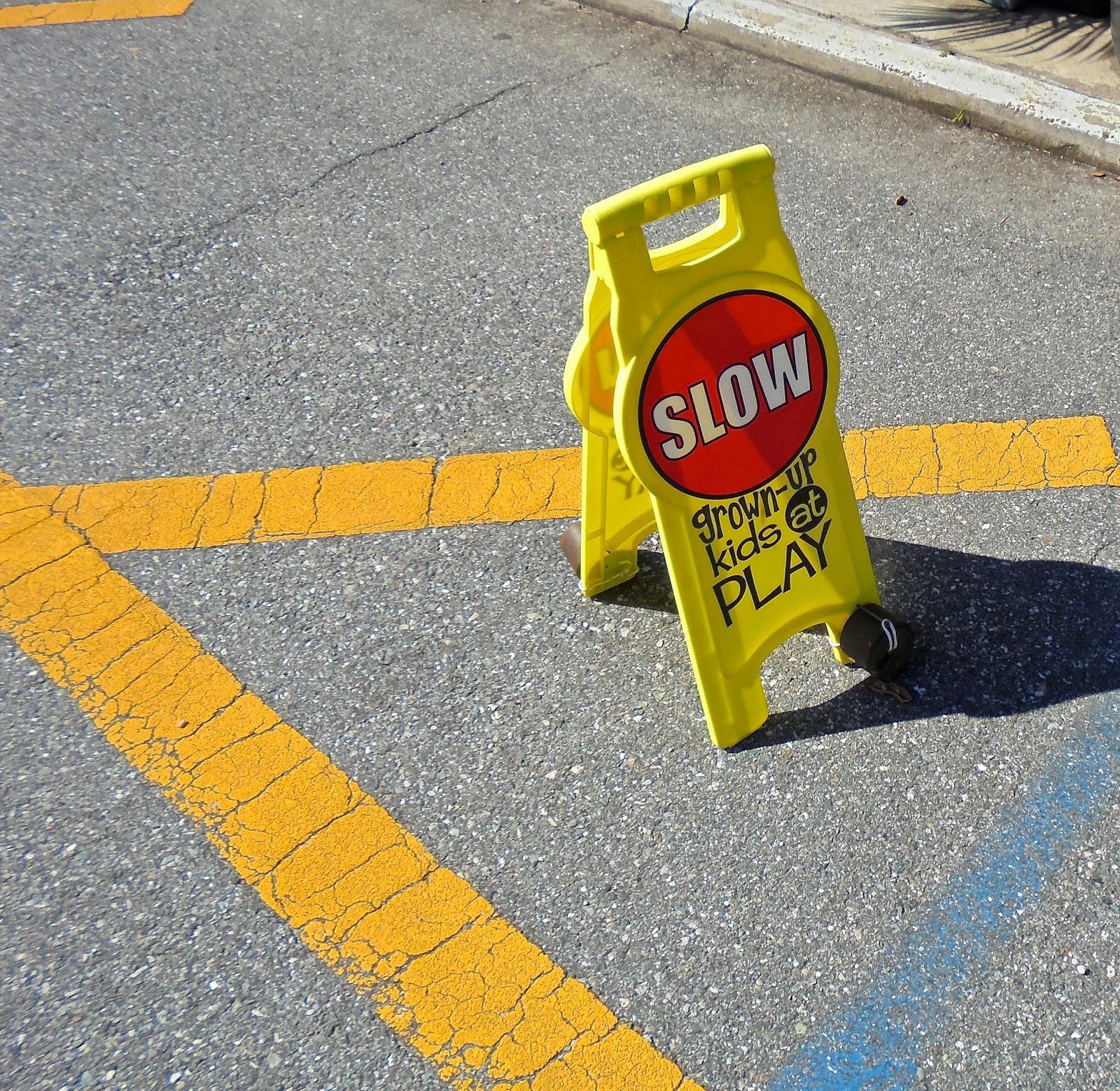 Tallahassee Daily Photo: signs, signs