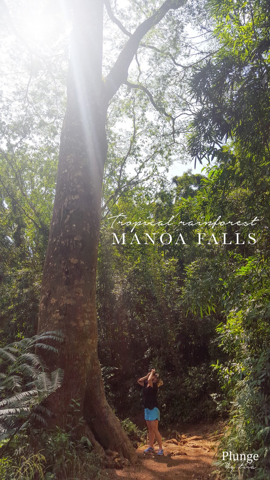 Manoa falls