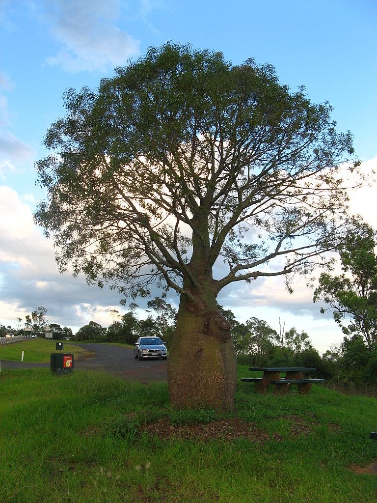 Ben's Adventures Trip to Toowoomba