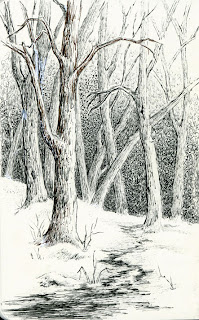 sbwatercolors and sketching: Winter Scene - Pen and Ink plus Color