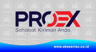 PT. Pro Ekspedisi Indonesia (PROEX) Pekanbaru