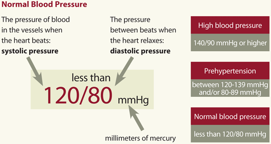 tekanan darah normal