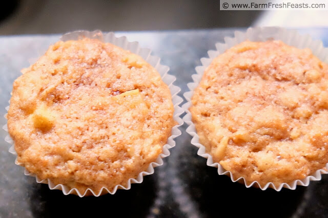 image of a row of whole grain muffins with chunks of apple and sprinkled with cinnamon sugar