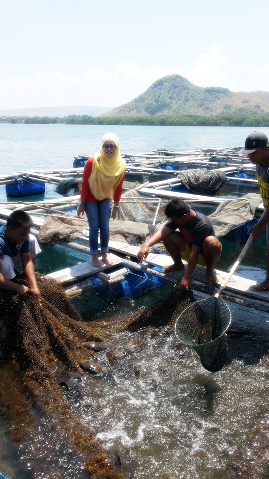 Catatan Hidup Menikmati Indahnya Kerapu Di Pantai Situbondo