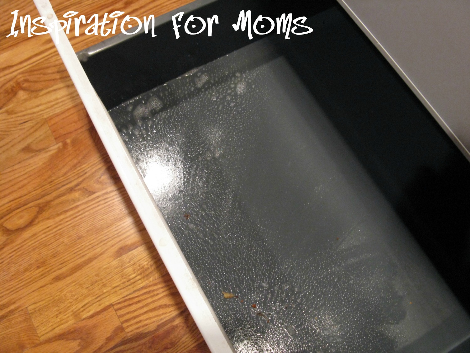 21 Days To A Clean Organized Home Day 6 Lovin' The Oven Clean