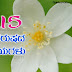 Happy New Year 2015 Kannada Language Quotations