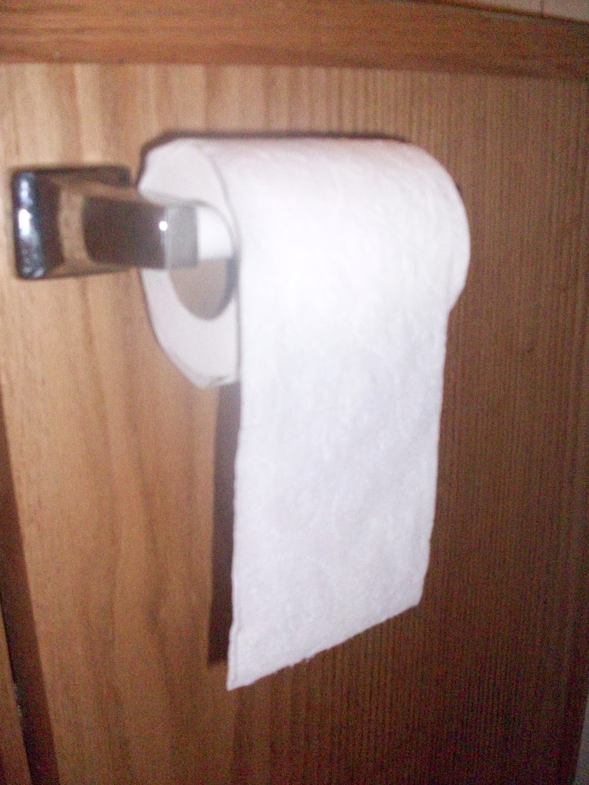 BigFamiliesBigIdeas Tip of the day Put Your Toilet Paper Roll on