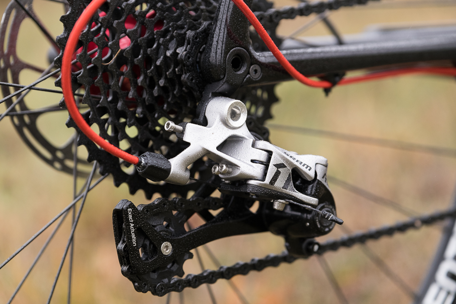 butch's custom cycles