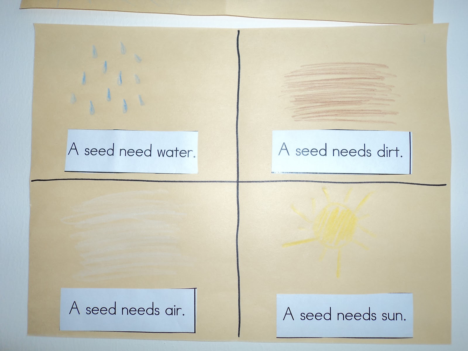 crazy-about-montessori-a-seed-needs
