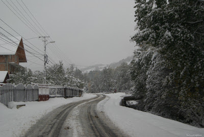 peisaj de iarna Bran Moeciu winter scene
