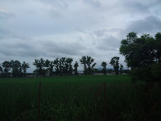 Photo of The Goan Diaries 2/30 by Tanvi Diwane