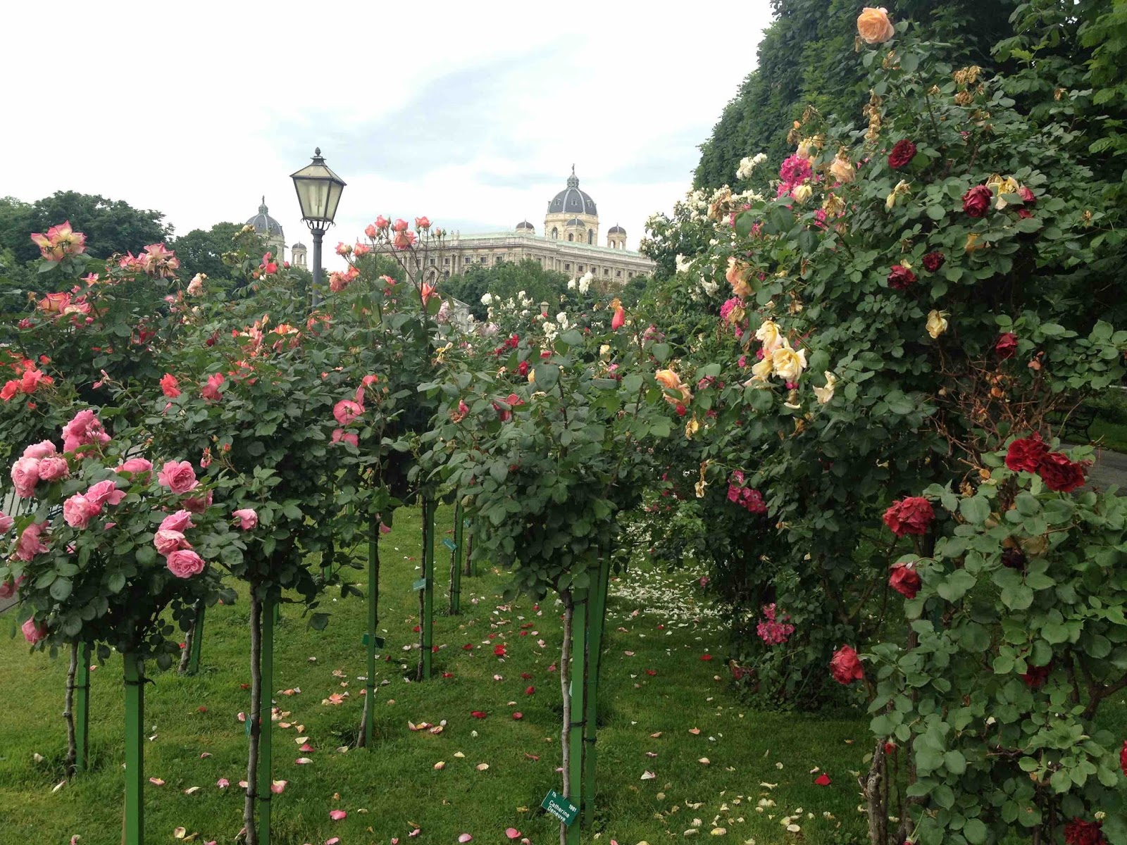Wien Herr Und Frau Schuh Auf Wien Besuch Chamy Travels