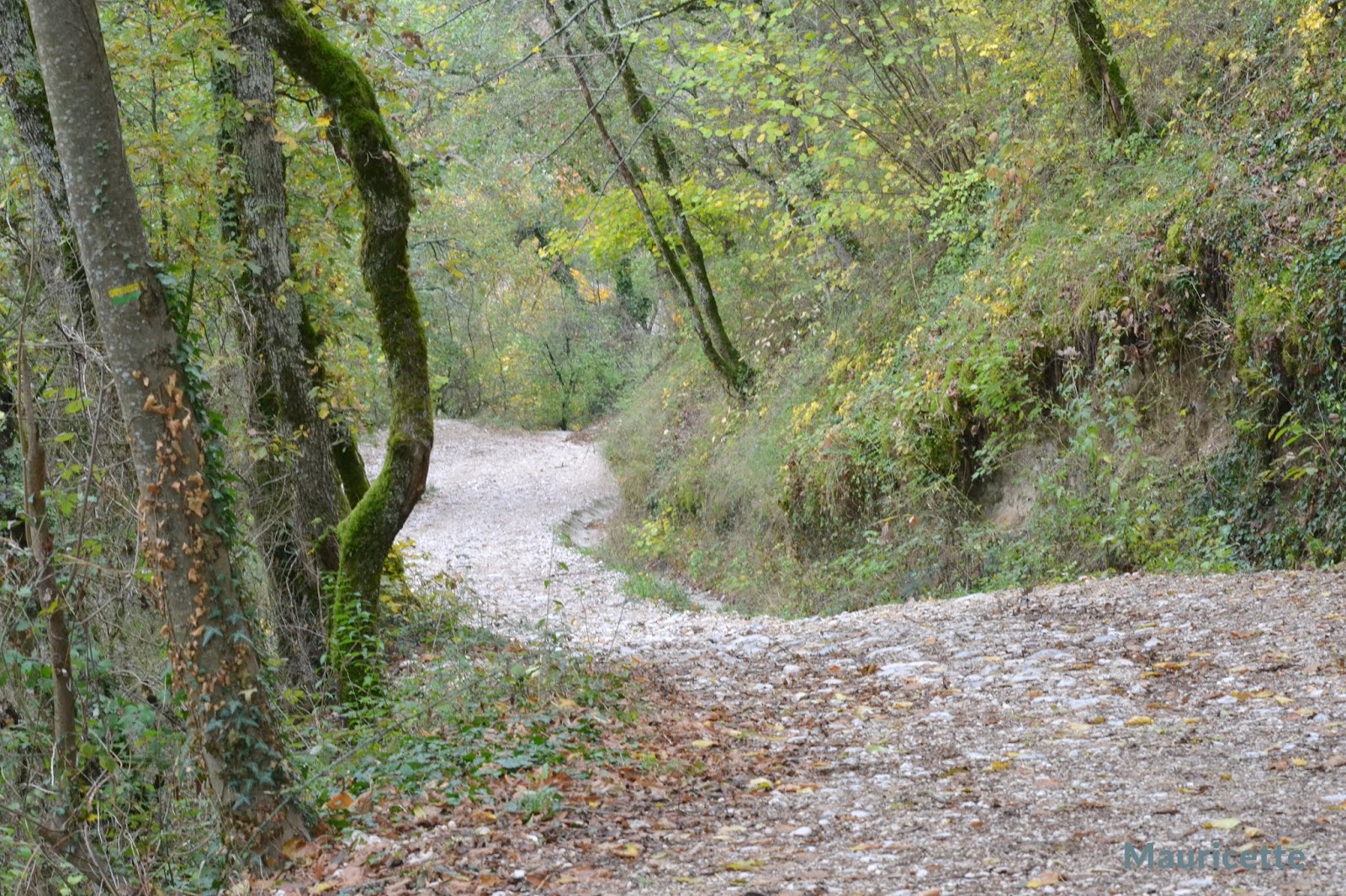 VERCORS ST EULALIE EN ROYANS