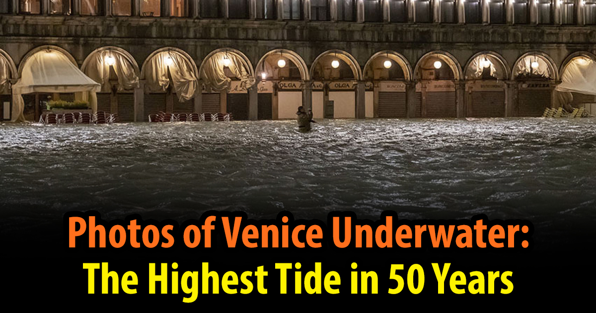 Photos of Venice Underwater The Highest Tide in 50 Years The Most