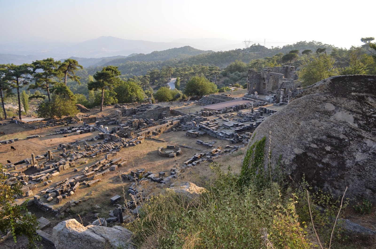 MERTCAN NEREDE ?: MUĞLA-MİLAS
