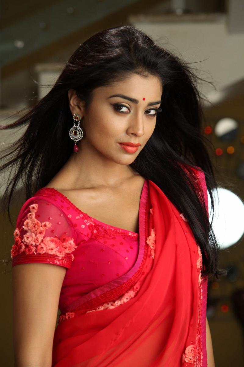 Shriya Saran In Red Hot Saree Stills - South Indian Actress-6897