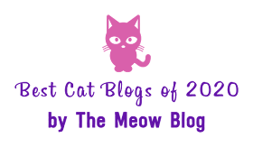 We're In The Best Cat Blogs of 2020