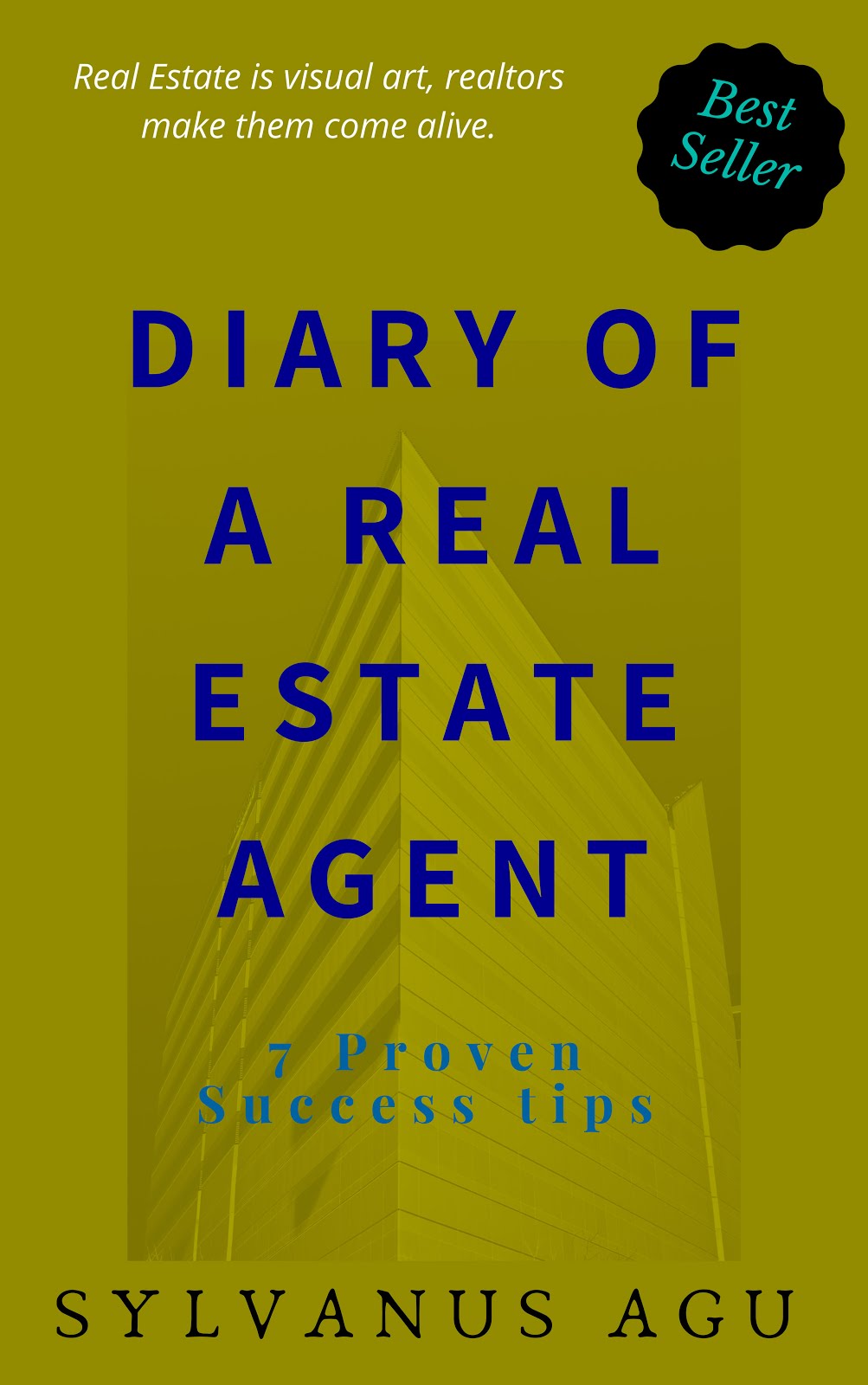 Diary of a Real Estate Agent