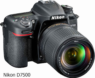Advantages and Disadvantages Nikon D7500