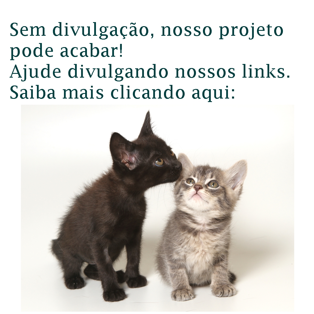 Nosso projeto está em risco!