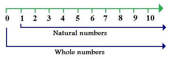 whole-numbers-and-natural-numbers-i-answer-4-u