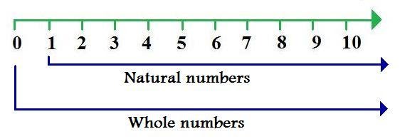 Natural Numbers And Whole Numbers Worksheet