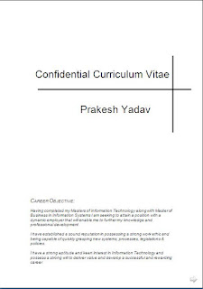 Resume Qualifications Examples