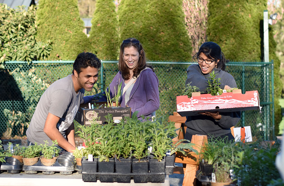 gardensduke Plant Sale Preview Why Plant in Fall?