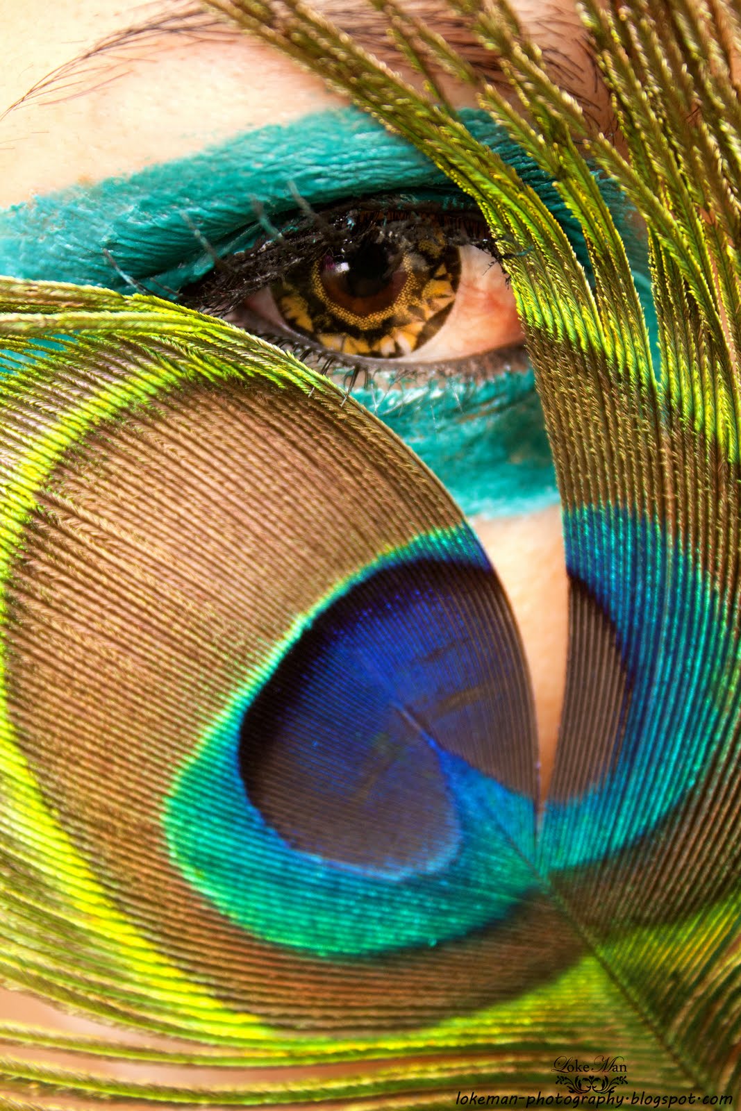 The Way Photography Begins : Peacock Eye– By LokeMan & YipGirl