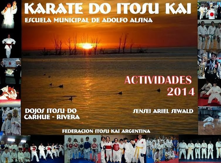 karateactividades2014