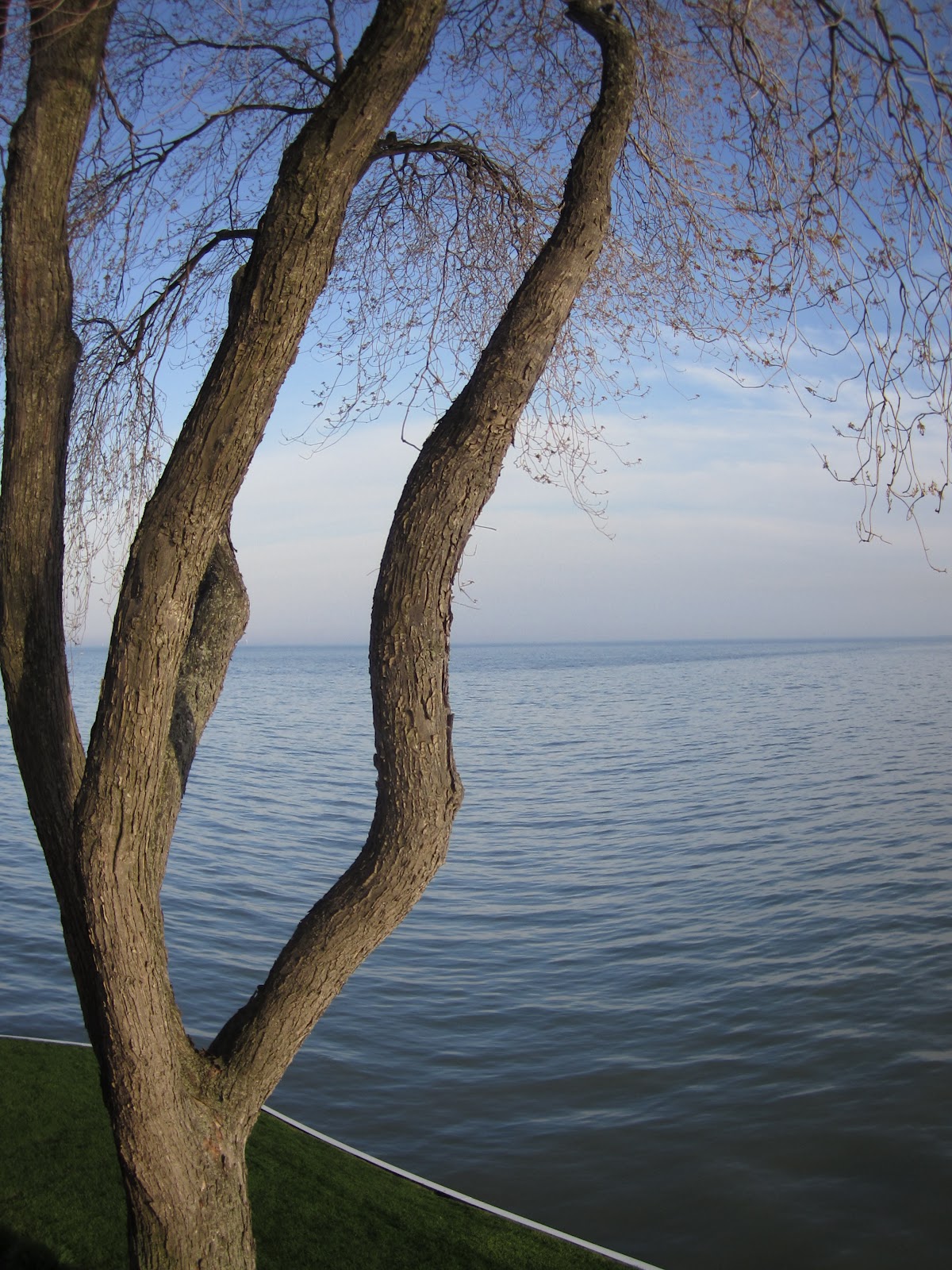 John Piippo Testing Prayer; Science and Healing, by Candy Gunther Brown