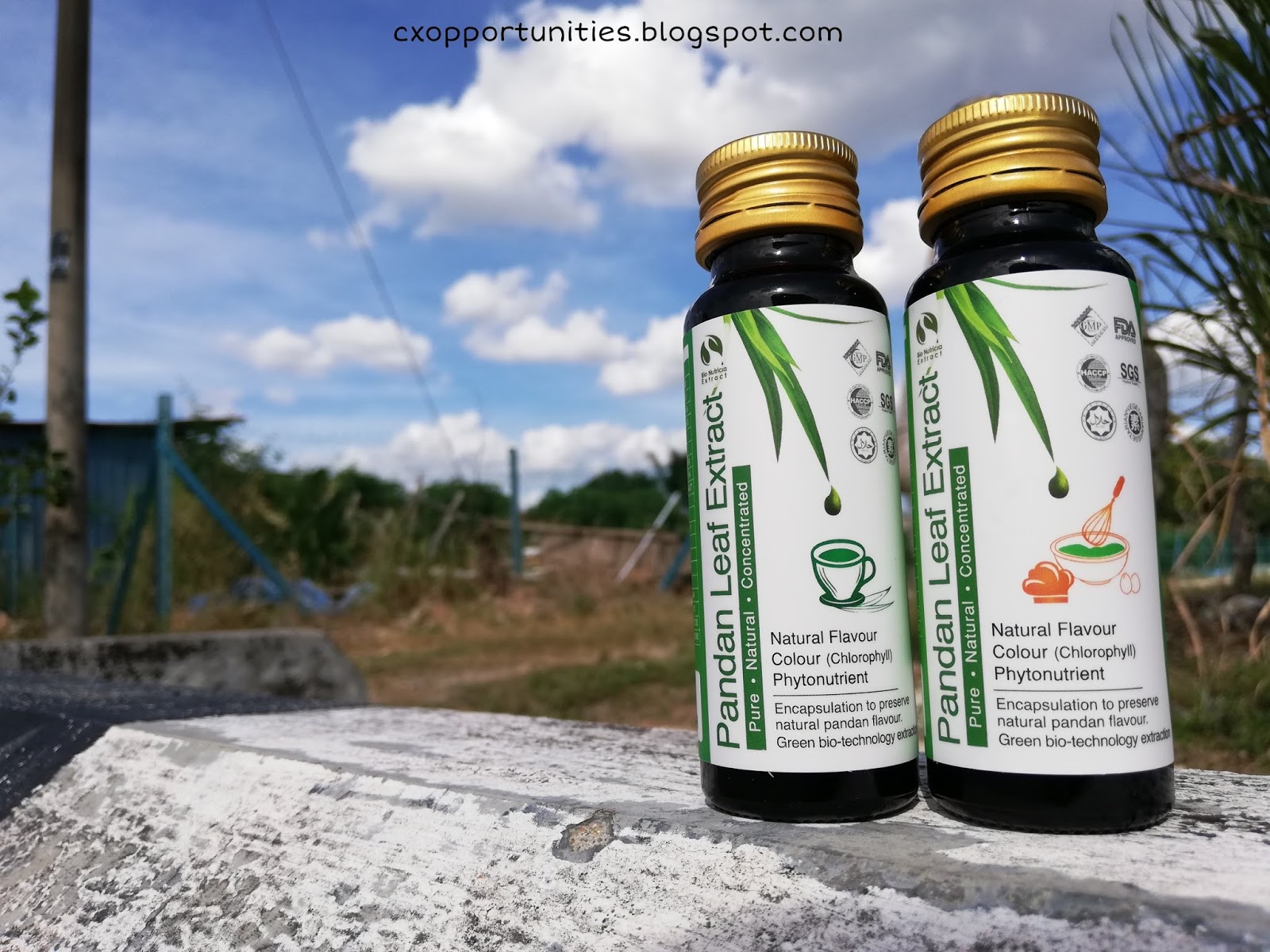 Memasak Menjadi Lebih Mudah, Cepat dan Selamat dengan Natural Pandan