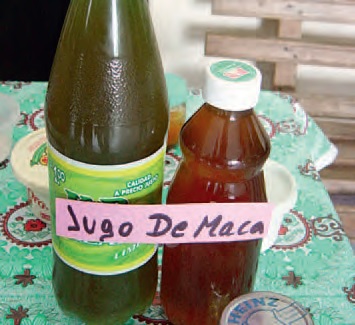 Jugo Extracto de Maca