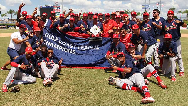 2016 Gulf Coast League Champion Cardinals