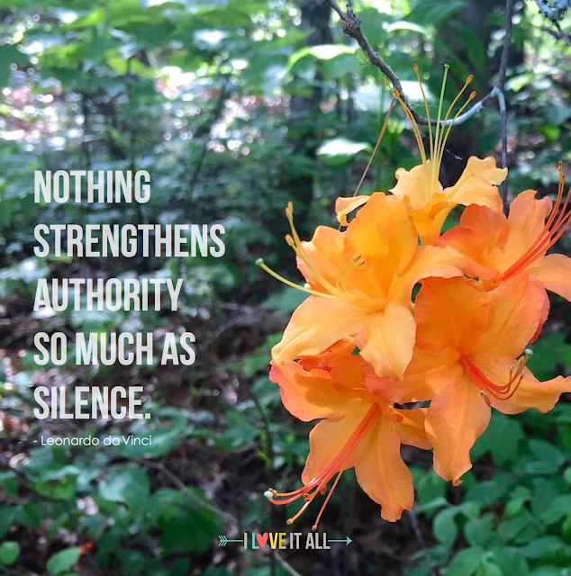 #authority #silence #flowers #orange #flameazalea #azalea #Smokies #quotes #inspirational #LeonardodaVinci