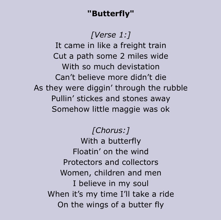 The Purple Butterfly Purpose