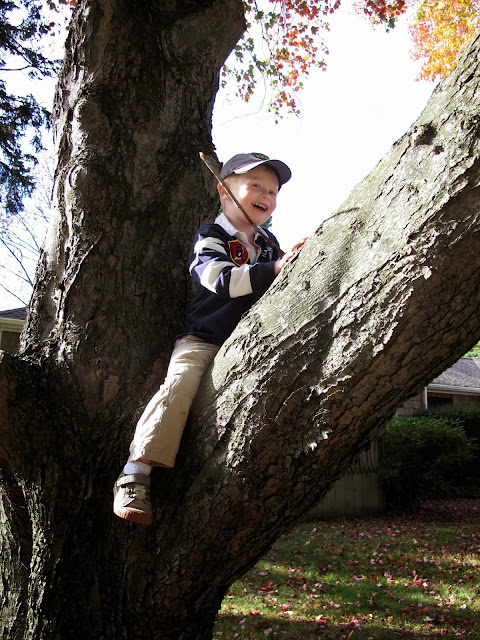 Tree Climbing Porter