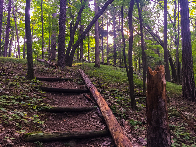 Hiking the Ice Age Trail Holy Hill Segment