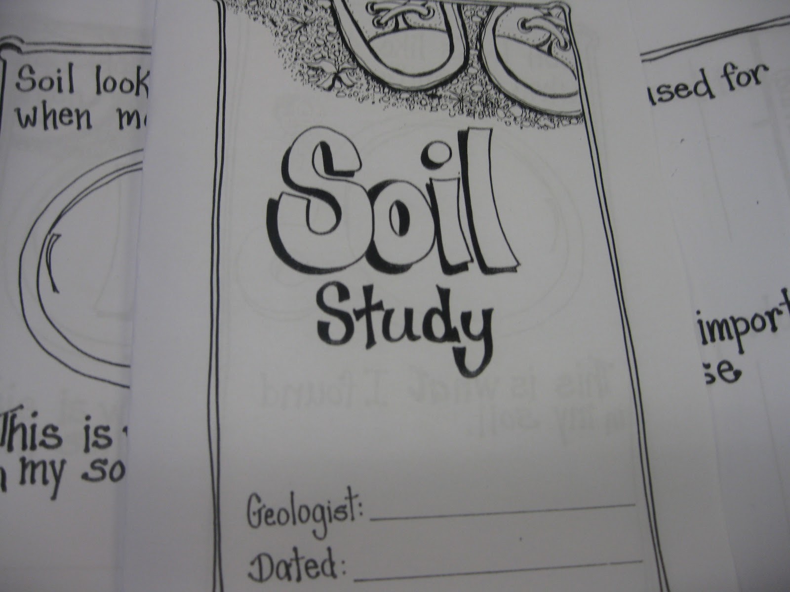 Live and Learn Science Investigation A Soil Study