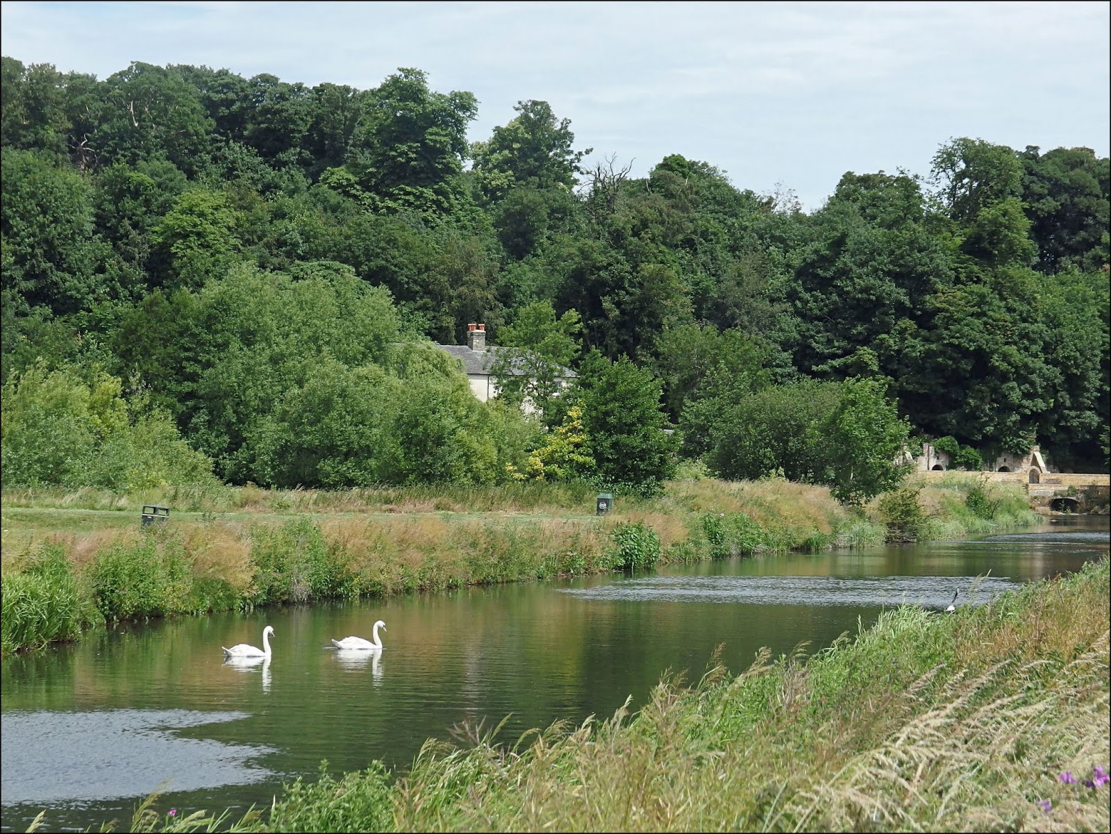 "By Stargoose And Hanglands" The King's Mead
