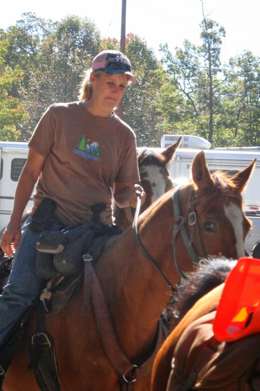 Foxtrotting Trail Riders Of Tennessee